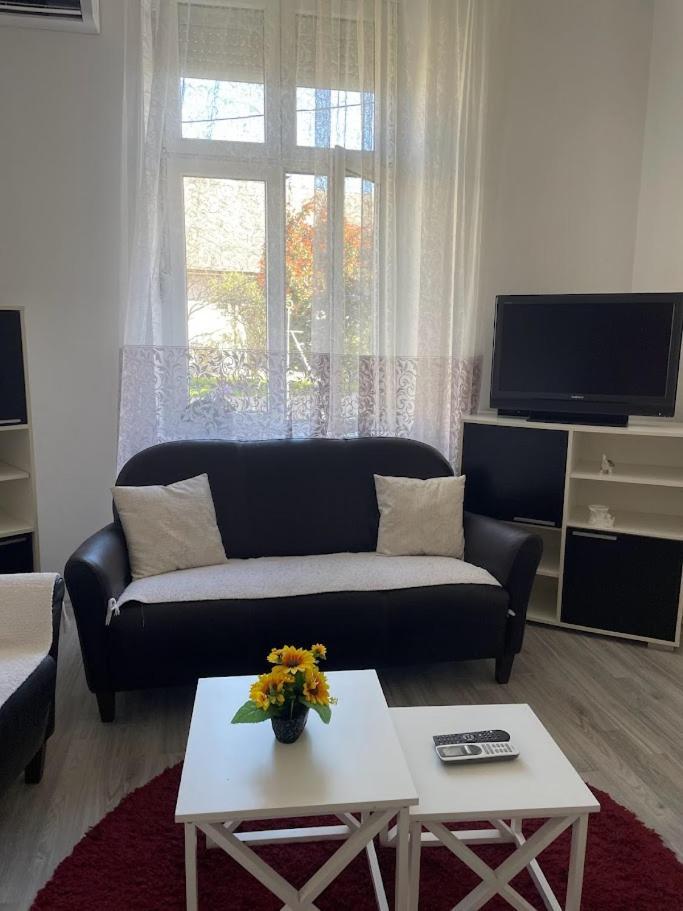Apartment Milijana 수보티차 외부 사진