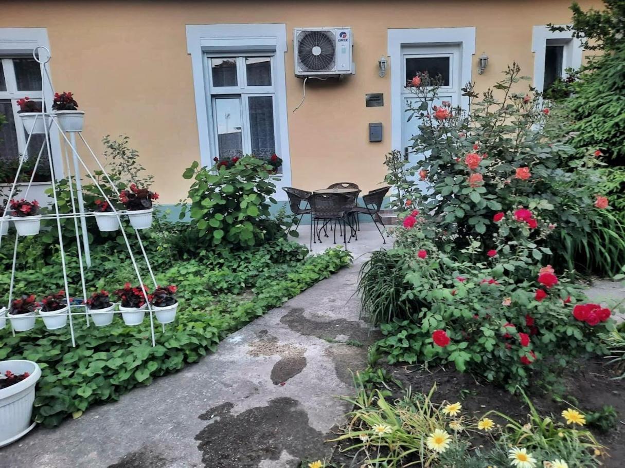 Apartment Milijana 수보티차 외부 사진